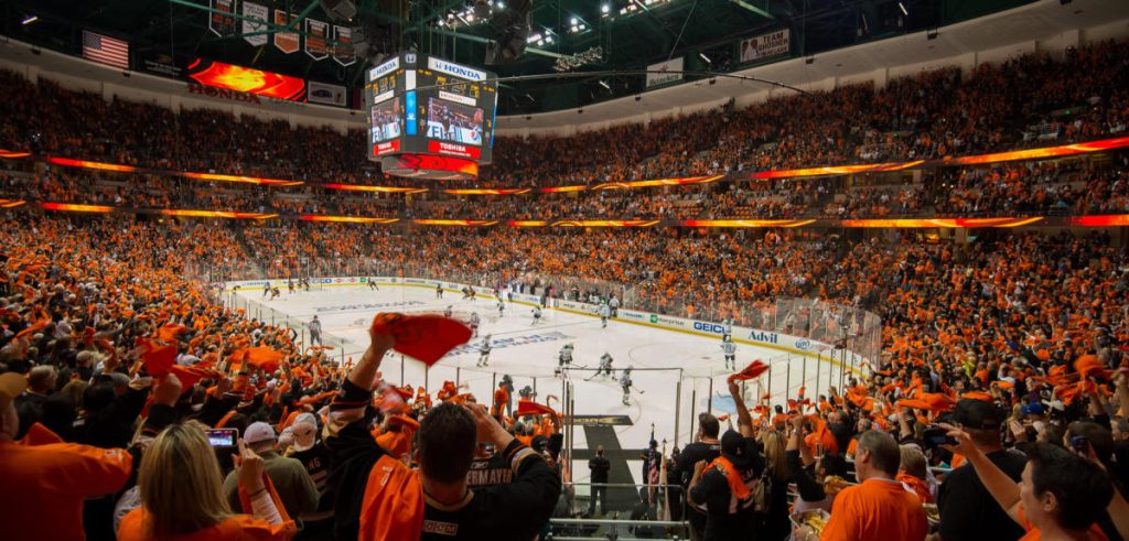 anaheim ducks