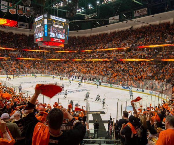 anaheim ducks